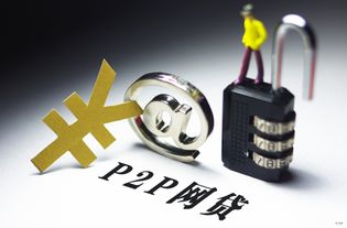 京東入局P2P 金融中介服務(wù)的新玩家，對(duì)網(wǎng)貸投資人真無(wú)益處？
